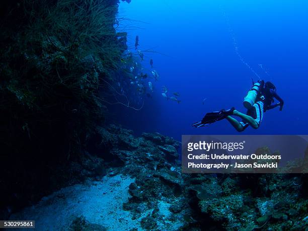 diver at northwest point wall - providenciales stock pictures, royalty-free photos & images