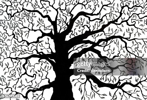 Tree drawing on white Tree drawing on white