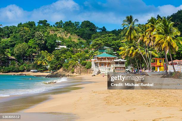 beach of castara,tobago, trinidad and tobago, west indies, caribbean, central america - trinidad stock pictures, royalty-free photos & images