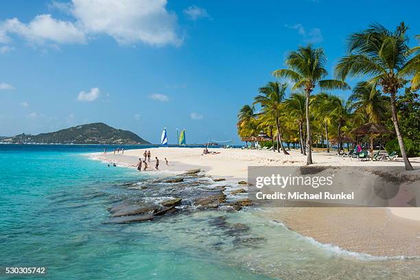 palm island, the grenadines, st. vincent and the grenadines, windward islands, west indies, caribbean, central america - st vincent stock-fotos und bilder