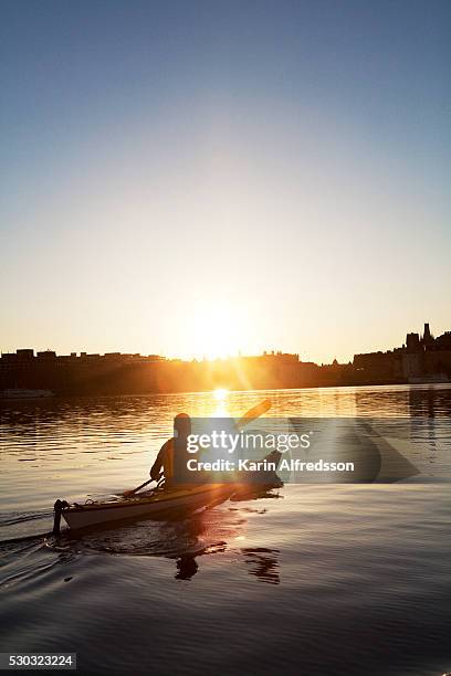 silhouette of man kayaking on river at sunset - kayaking stockholm stock pictures, royalty-free photos & images