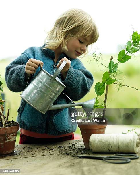 1,307 Watering Plant Vintage Stock Photos, High-Res Pictures, and