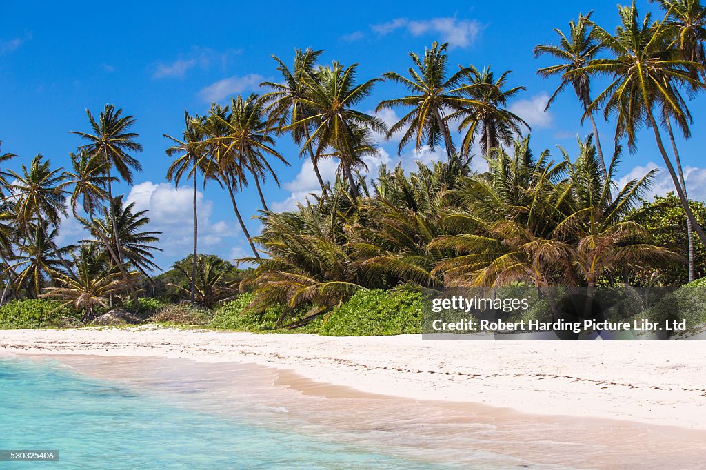 Dominican Republic, Punta Cana, Playa Blanca