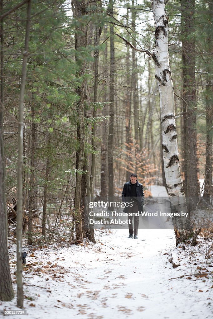 Amongst the Evergreens