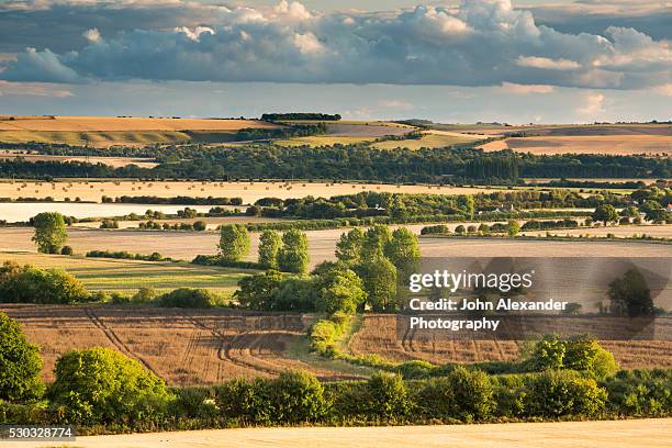 wittenham clumps, thames valley, oxfordshire, england, uk - oxfordshire stock pictures, royalty-free photos & images