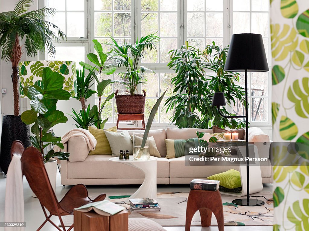 Living room with potted plants