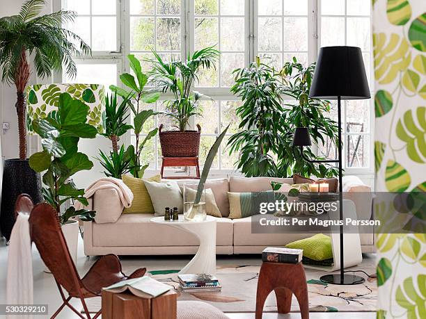 living room with potted plants - green sofa stock pictures, royalty-free photos & images