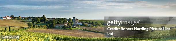 berneuil, charente, france - charente photos et images de collection