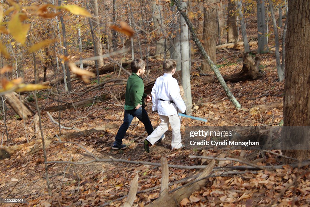 Adventure In Woods Adventures In The Woods High-Res Stock Photo - Getty Images
