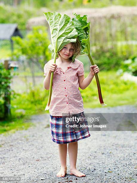 portrait of girl holding rhubarb leaves - rabarber stockfoto's en -beelden