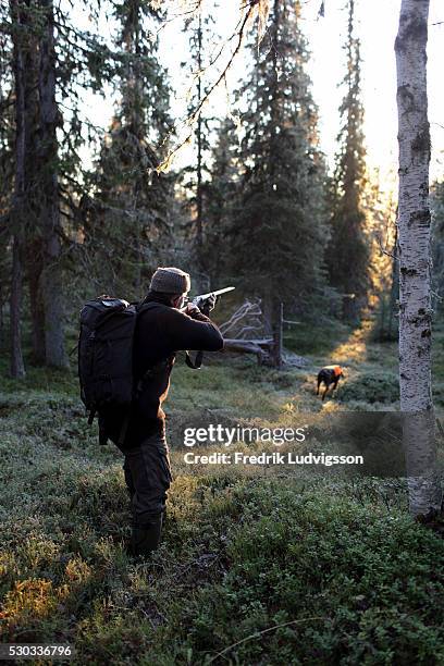 youngman hunting with dog - tetrastes bonasia stock pictures, royalty-free photos & images