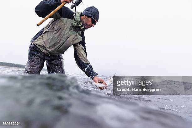man fishing on coastline - baltic sea fish stock pictures, royalty-free photos & images