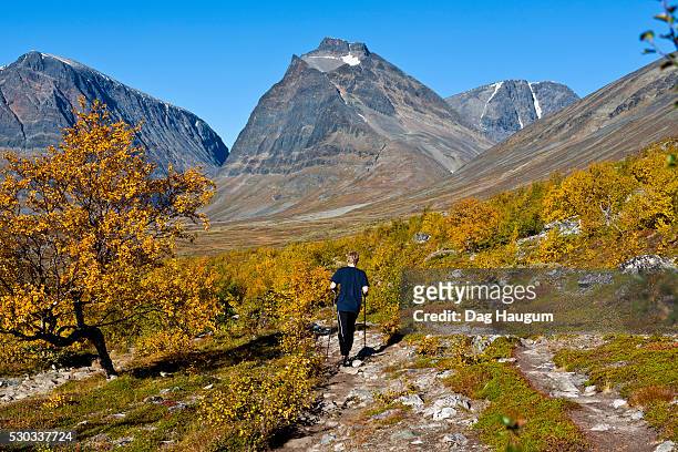 teenage boy hiking - dag 14 stock pictures, royalty-free photos & images