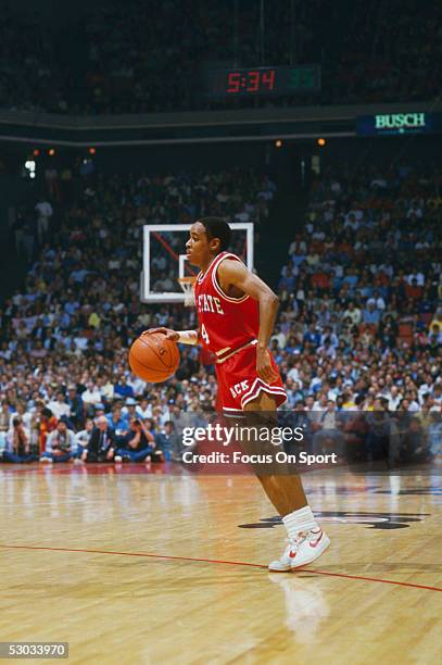 Portrait of Rhode Island Gulls Manute Bol and Spud Webb during photo News Photo - Getty Images