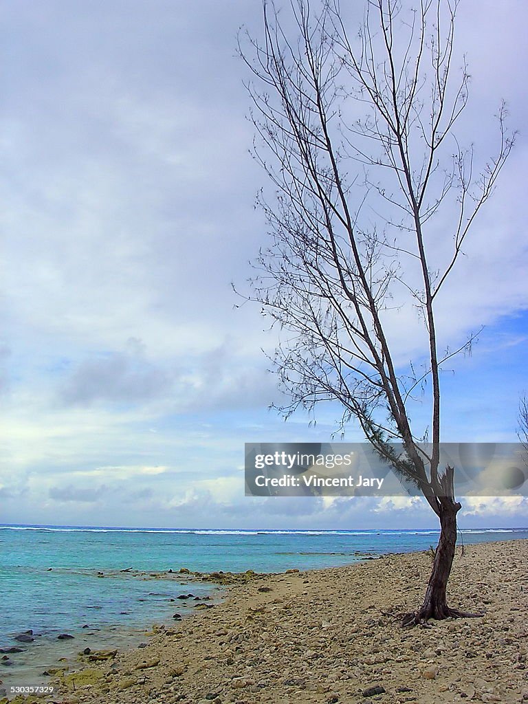 Wild seascape cook island