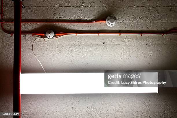 fluorescent light with orange wires on white wall - lucy shires stockfoto's en -beelden
