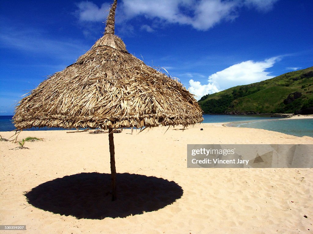 Exotic parasol fiji island