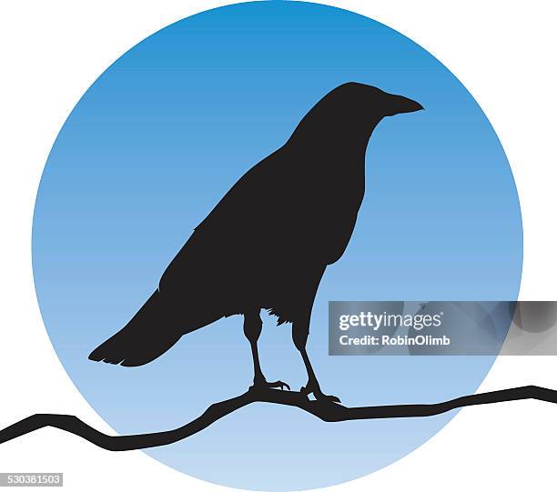 raven silhouette - blackbird stock illustrations