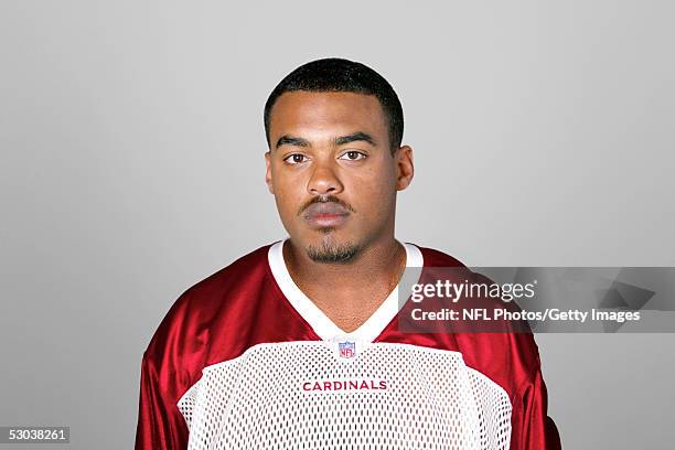 Chris Lewis of the Arizona Cardinals poses for his 2005 NFL headshot at photo day in Tempe, Arizona.