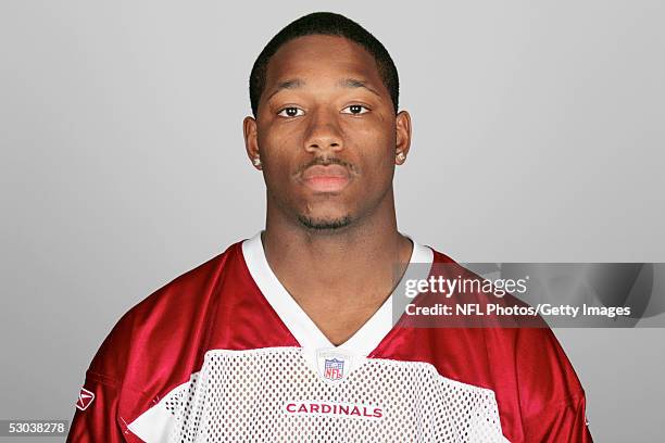 LeRon McCoy of the Arizona Cardinals poses for his 2005 NFL headshot at photo day in Tempe, Arizona.