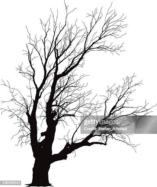 winter tree - bare tree silhouette stock illustrations