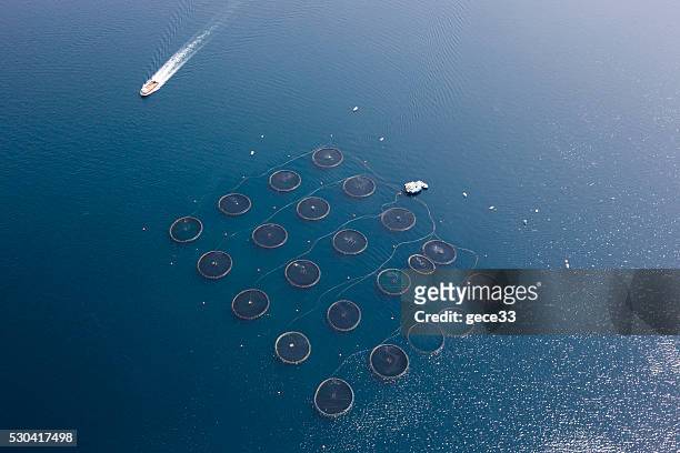 aerial view of fish farm - fish farm stock pictures, royalty-free photos & images