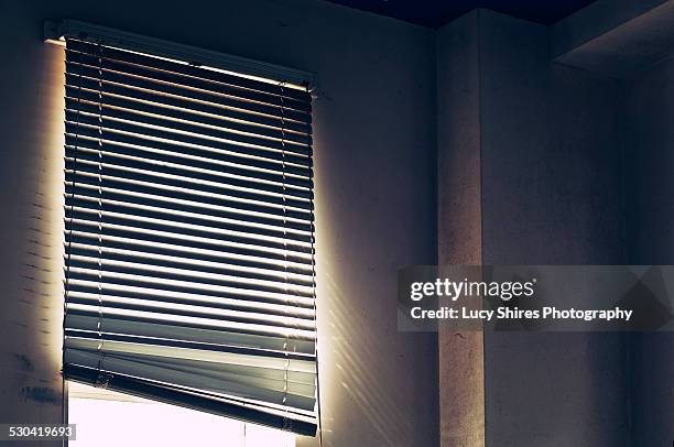 venetian blind in front of window in dark room. - lucy shires - fotografias e filmes do acervo