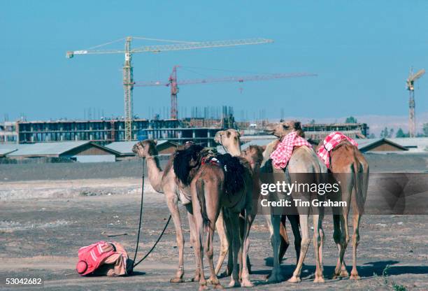 207 Dubai Old And New Photos and Premium High Res Pictures - Getty Images 207 Dubai Old And New Photos and Premium High Res Pictures - Getty Images