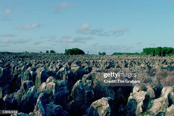 Phosphate Fields, Nauru, South Pacific Phosphate Fields, Nauru, South Pacific