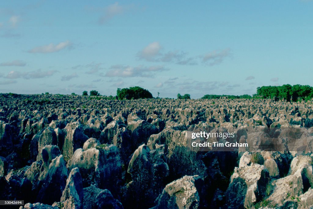 Phosphate Fields, Nauru, South Pacific