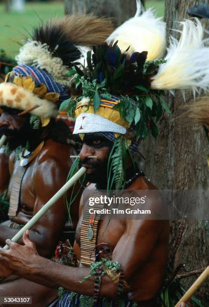 Tribesman wearing a large leaf and feather headdress playing a pipe during a meeting of tribes at Mount Hagen, Papua New Guinea, Australasia.