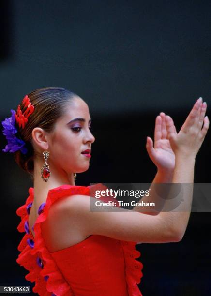 Flamenco dancer, Alcazar Palace, Seville, Spain.