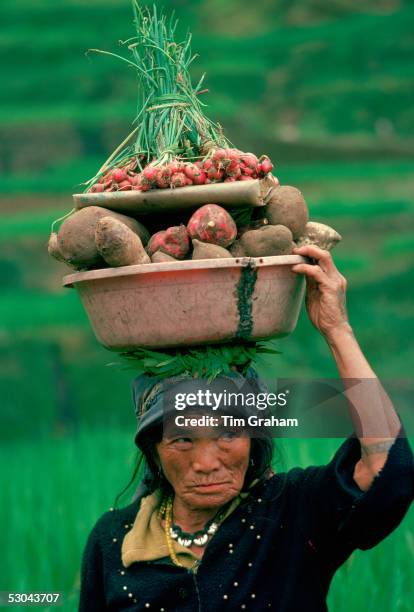 Woman from Ifugao carrying vegetables on her head on her way through the rice terraces to the market at Banaue on the Island of Luzon in the...