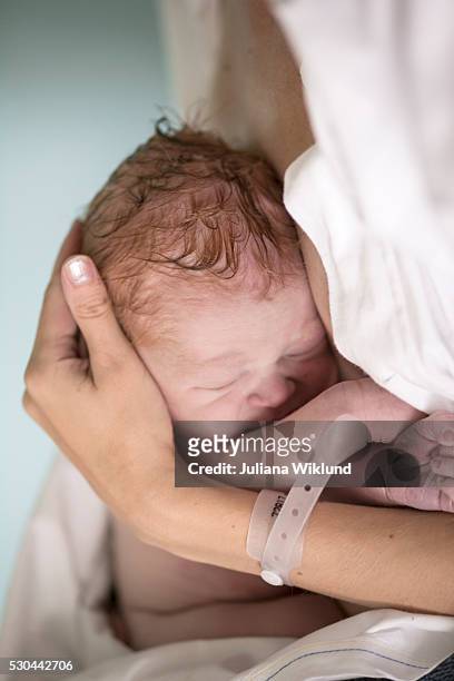 newborn baby sleeping with mother, danderyd, stockholm, sweden - danderyd hospital stock pictures, royalty-free photos & images