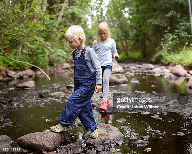 children at a creek - watercourse stock pictures, royalty-free photos & images