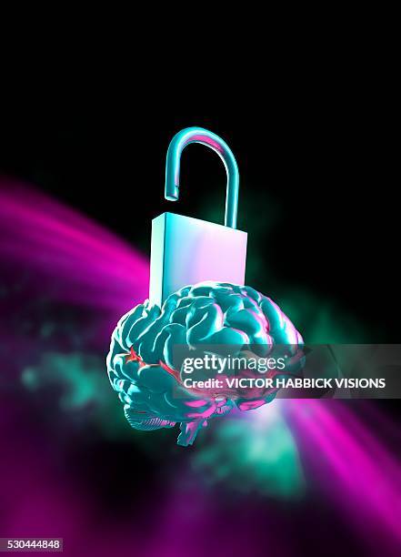 Brain Lock Mem 332 Brain Lock Stock Photos, High-Res Pictures, and Images - Getty Images