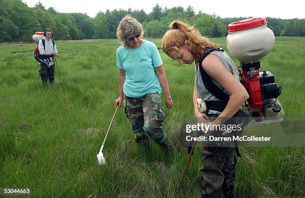 Sarah MacGregor , owner of Dragon Mosquito Control, speaks to employee Andrea Frey while fellow employee Devin Hanington looks on, while spraying a...