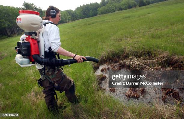 Dragon Mosquito Control employee Devin Hanington sprays a swamp to help curb the mosquito population June 9, 2005 in Stratham, New Hampshire. As the...