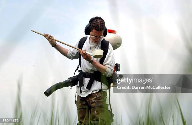 Dragon Mosquito Control employee Devin Hanington checks a swamp for mosquitoes June 9, 2005 in Stratham, New Hampshire. As the wet spring weather...
