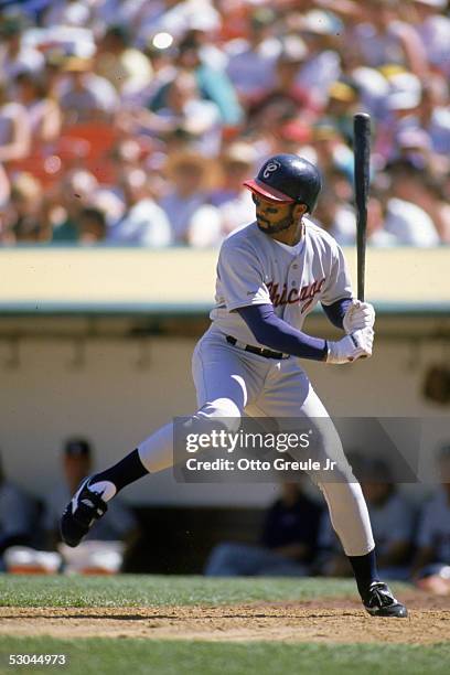 Harold Baines of the Chicago White Sox steps into the swing during a 1989 season game against the Oakland Athletics at Oakland-Alameda County...