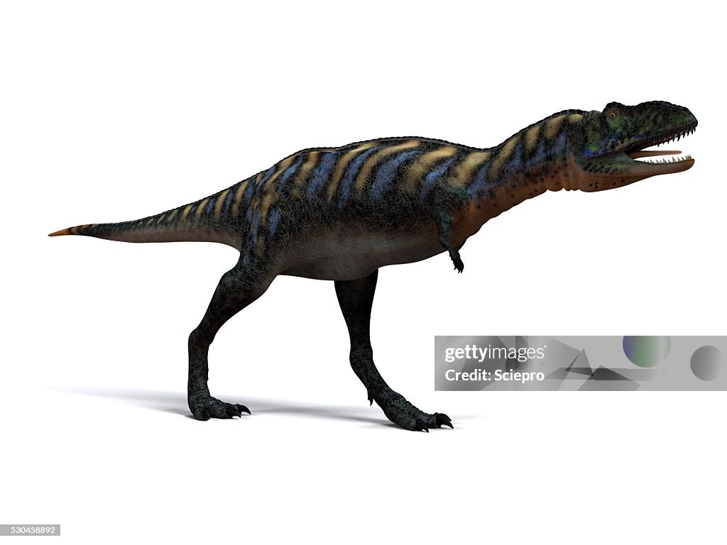 Aucasaurus dinosaur, artwork