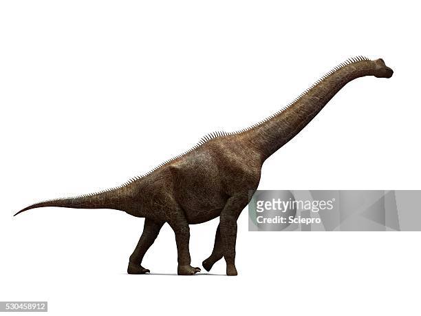 brachiosaurus dinosaur, artwork - brachiosaurus bildbanksfoton och bilder