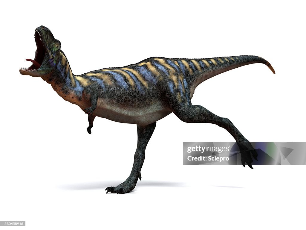 Aucasaurus dinosaur, artwork