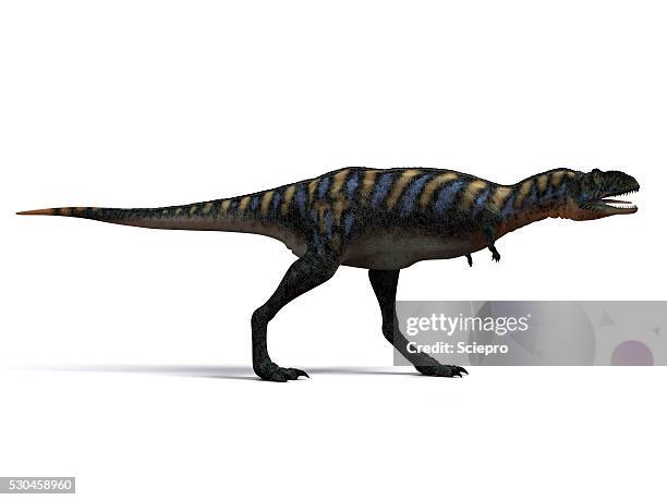 aucasaurus dinosaur, artwork - aucasaurus stock pictures, royalty-free photos & images
