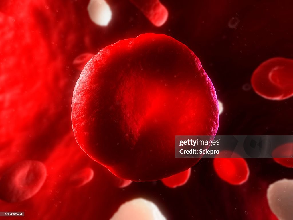 Red blood cell, artwork