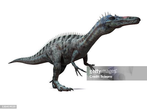 suchomimus dinosaur, artwork - onnivoro foto e immagini stock