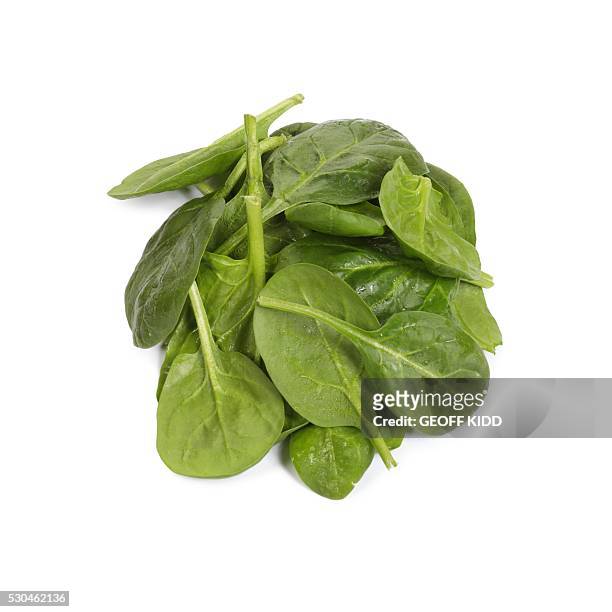 spinach - spinach 個照片及圖片檔