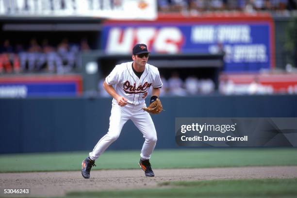 Billy Ripken 259 284 Billy Ripken Photos & High Res Pictures - Getty Images