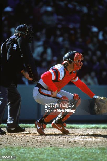 Carlton Fisk of the Chicago White Sox fields during an MLB game at Fenway Park in Boston, Massachusetts. Carlton Fisk played for the Chicago White...