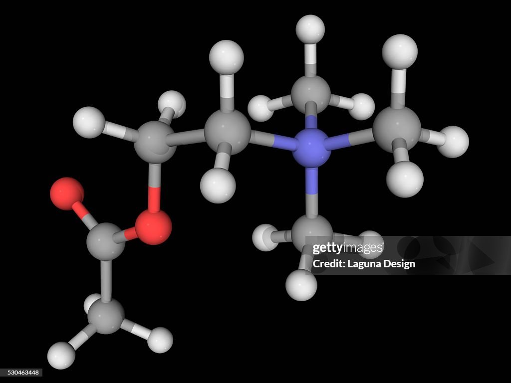 Acetylcholine molecule